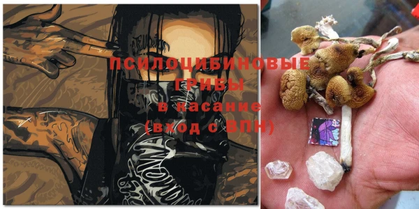 кокаин перу Михайлов