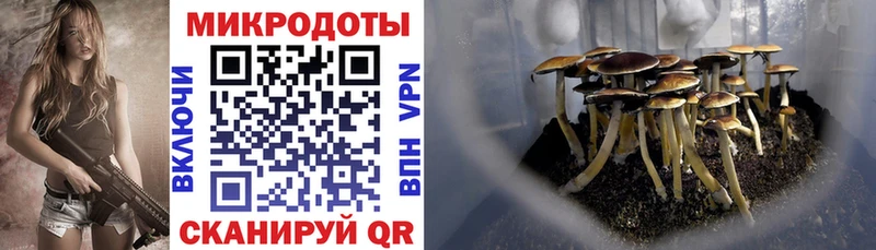 Галлюциногенные грибы прущие грибы  KRAKEN ONION  Фурманов  наркотики 